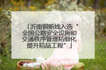 沂南铜新线入选“全国公路安全设施和交通秩序管理精细化提升精品工程”