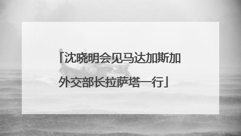 沈晓明会见马达加斯加外交部长拉萨塔一行