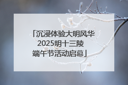 沉浸体验大明风华 2025明十三陵端午节活动启幕