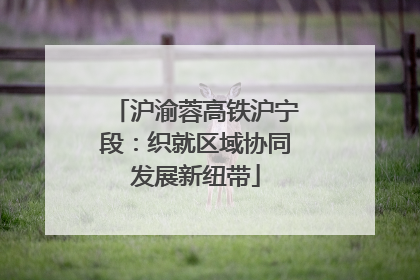 沪渝蓉高铁沪宁段：织就区域协同发展新纽带