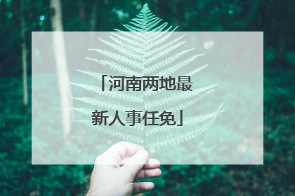 河南两地最新人事任免