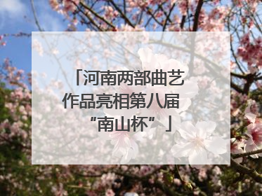 河南两部曲艺作品亮相第八届“南山杯”