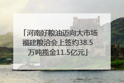 河南好粮油迈向大市场 福建粮洽会上签约38.5万吨揽金11.5亿元