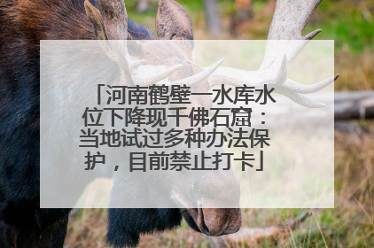 河南鹤壁一水库水位下降现千佛石窟：当地试过多种办法保护，目前禁止打卡
