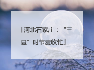 河北石家庄：“三夏”时节麦收忙
