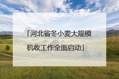 河北省冬小麦大规模机收工作全面启动