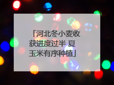 河北冬小麦收获进度过半 夏玉米有序种植