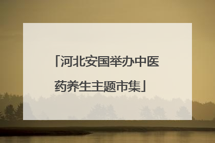 河北安国举办中医药养生主题市集