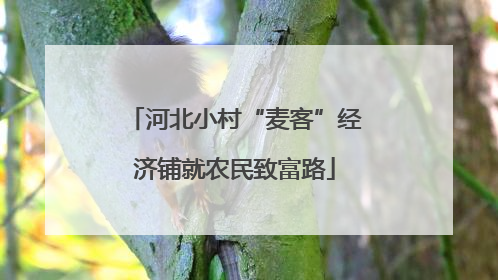 河北小村“麦客”经济铺就农民致富路