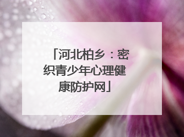 河北柏乡：密织青少年心理健康防护网