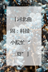 河北曲周：科技小院忙“三夏”