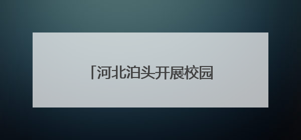 河北泊头开展校园端午节系列活动