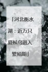 河北衡水湖：近万只夏候鸟进入繁殖期