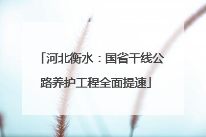 河北衡水：国省干线公路养护工程全面提速