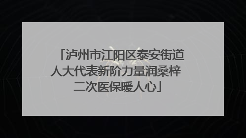 泸州市江阳区泰安街道人大代表新阶力量润桑梓 二次医保暖人心