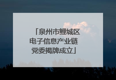 泉州市鲤城区电子信息产业链党委揭牌成立