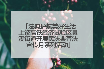 法典护航美好生活 上饶高铁经济试验区灵溪街道开展民法典普法宣传月系列活动