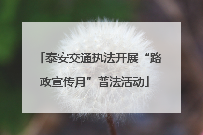 泰安交通执法开展“路政宣传月”普法活动