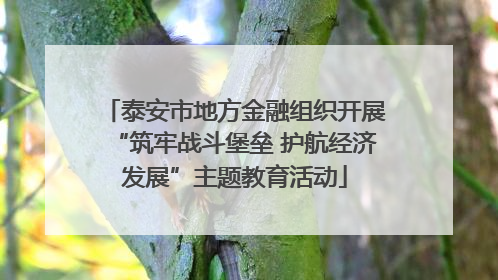 泰安市地方金融组织开展“筑牢战斗堡垒 护航经济发展”主题教育活动