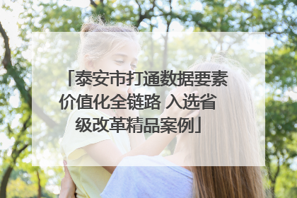 泰安市打通数据要素价值化全链路 入选省级改革精品案例