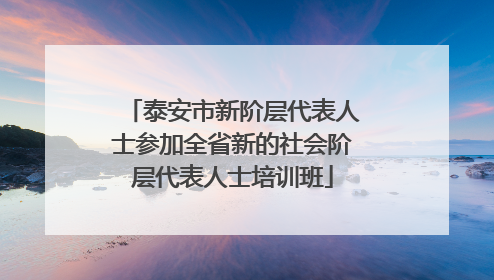 泰安市新阶层代表人士参加全省新的社会阶层代表人士培训班