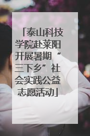 泰山科技学院赴莱阳开展暑期“三下乡”社会实践公益志愿活动