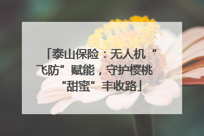 泰山保险：无人机“飞防”赋能，守护樱桃“甜蜜”丰收路