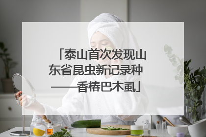 泰山首次发现山东省昆虫新记录种——香椿巴木虱