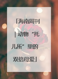 海南周刊｜动物“托儿所”里的双倍母爱