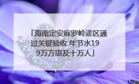 海南定安麻罗岭灌区通过关键验收 年节水199万方惠及十万人