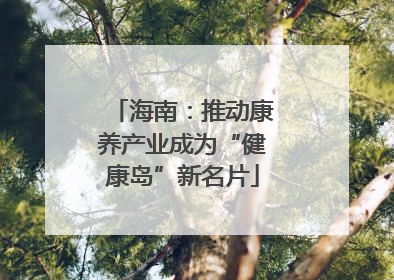 海南：推动康养产业成为“健康岛”新名片