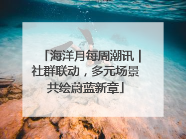 海洋月每周潮讯｜社群联动，多元场景共绘蔚蓝新章