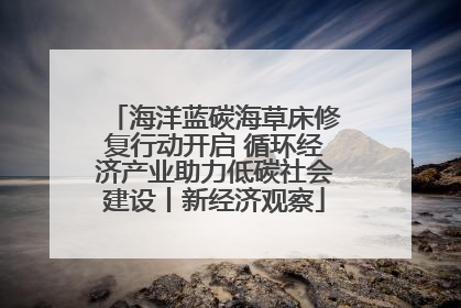 海洋蓝碳海草床修复行动开启 循环经济产业助力低碳社会建设丨新经济观察