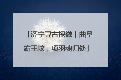 济宁寻古探微｜曲阜霸王坟，项羽魂归处