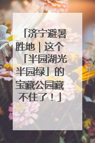 济宁避暑胜地｜这个「半园湖光半园绿」的宝藏公园藏不住了！
