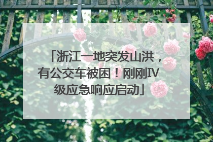 浙江一地突发山洪，有公交车被困！刚刚Ⅳ级应急响应启动