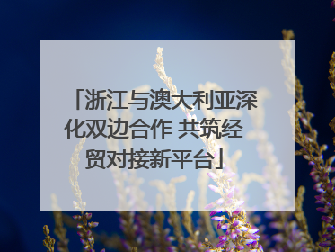 浙江与澳大利亚深化双边合作 共筑经贸对接新平台