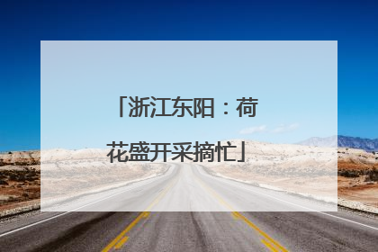 浙江东阳：荷花盛开采摘忙