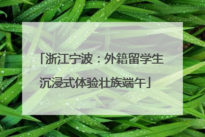 浙江宁波：外籍留学生沉浸式体验壮族端午