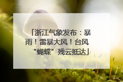 浙江气象发布：暴雨！雷暴大风！台风“蝴蝶”残云抵达