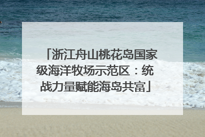 浙江舟山桃花岛国家级海洋牧场示范区：统战力量赋能海岛共富