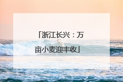 浙江长兴：万亩小麦迎丰收