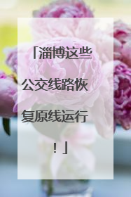 淄博这些公交线路恢复原线运行！