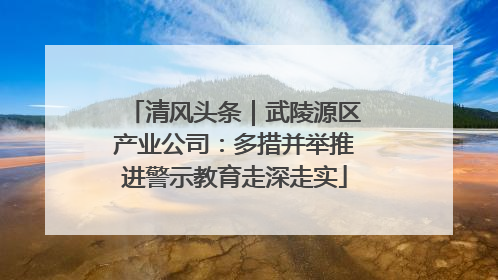 清风头条｜武陵源区产业公司：多措并举推进警示教育走深走实