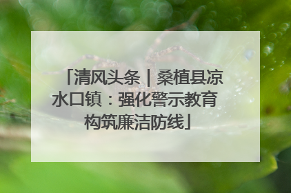 清风头条｜桑植县凉水口镇：强化警示教育 构筑廉洁防线