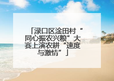 渌口区淦田村“同心振农兴粮”大赛上演农耕“速度与激情”