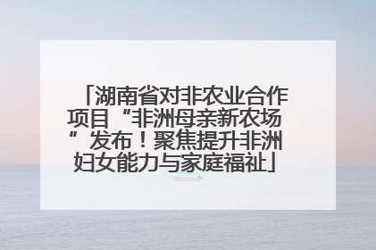 湖南省对非农业合作项目“非洲母亲新农场”发布！聚焦提升非洲妇女能力与家庭福祉