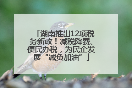 湖南推出12项税务新政！减税降费、便民办税，为民企发展“减负加油”