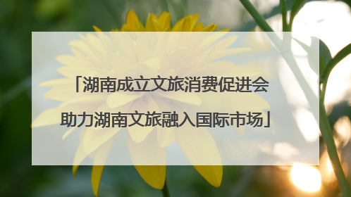 湖南成立文旅消费促进会 助力湖南文旅融入国际市场