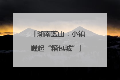 湖南蓝山：小镇崛起“箱包城”